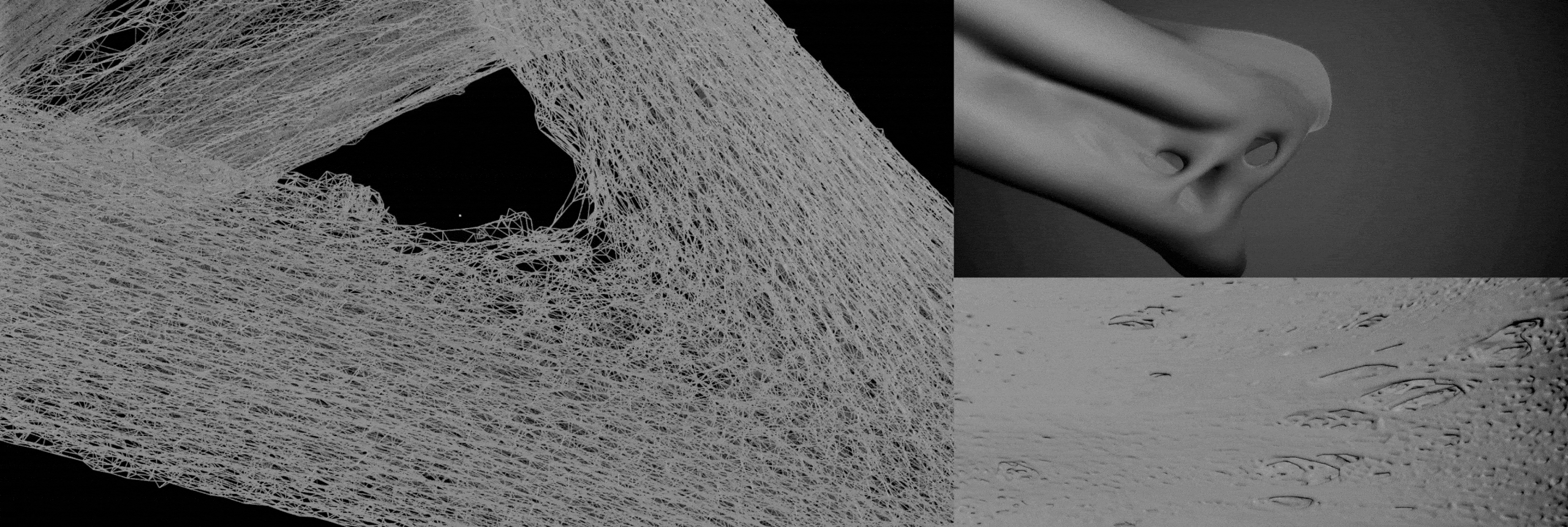 BALENCIAGA—实验项目