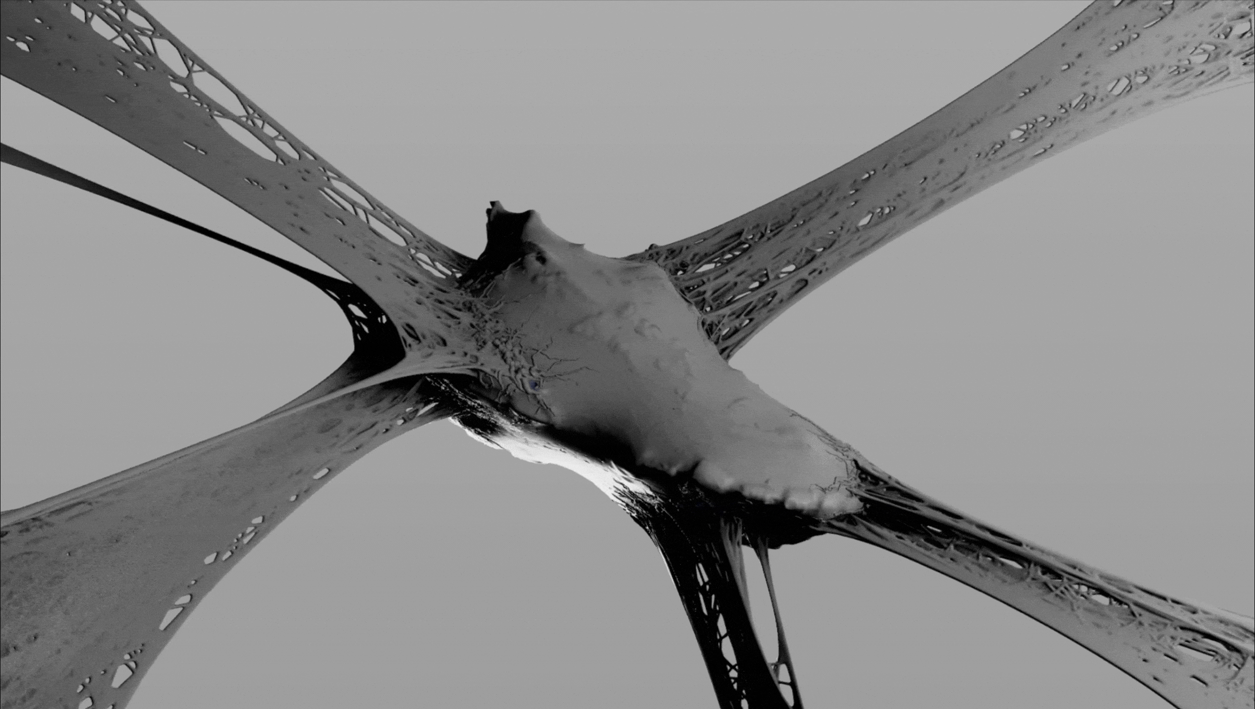 BALENCIAGA—实验项目