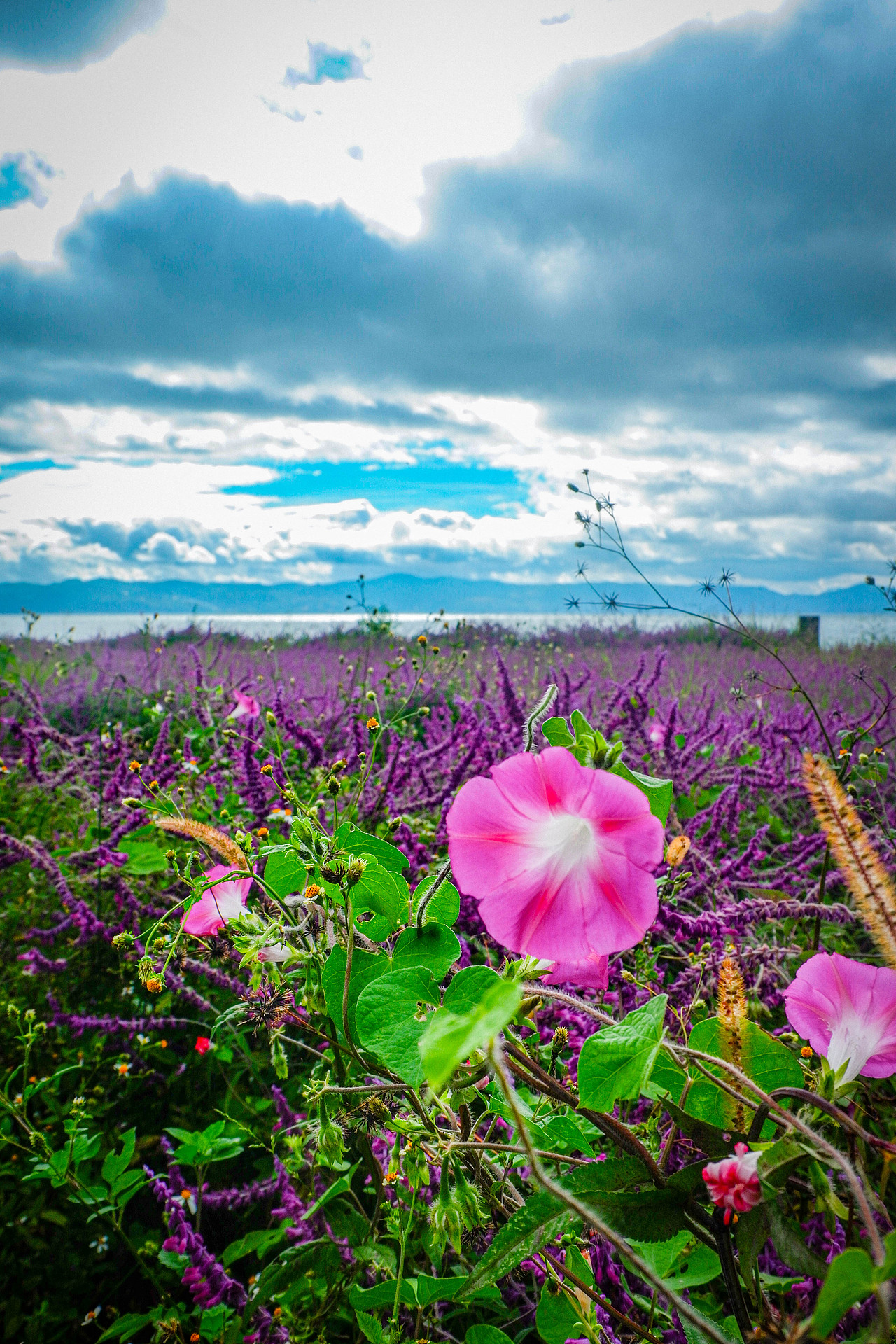 2025年10月外出-澄江红沙滩、马房村、通海