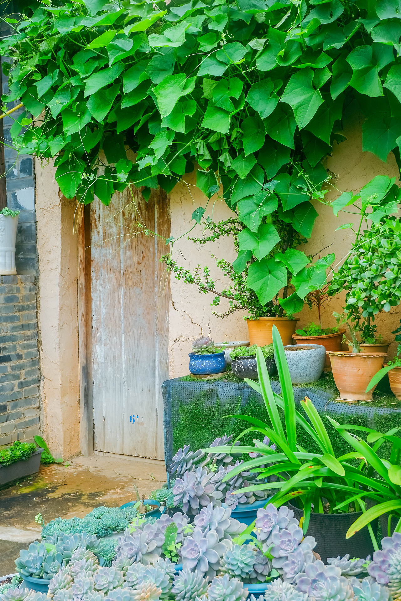 2025年10月外出-澄江红沙滩、马房村、通海