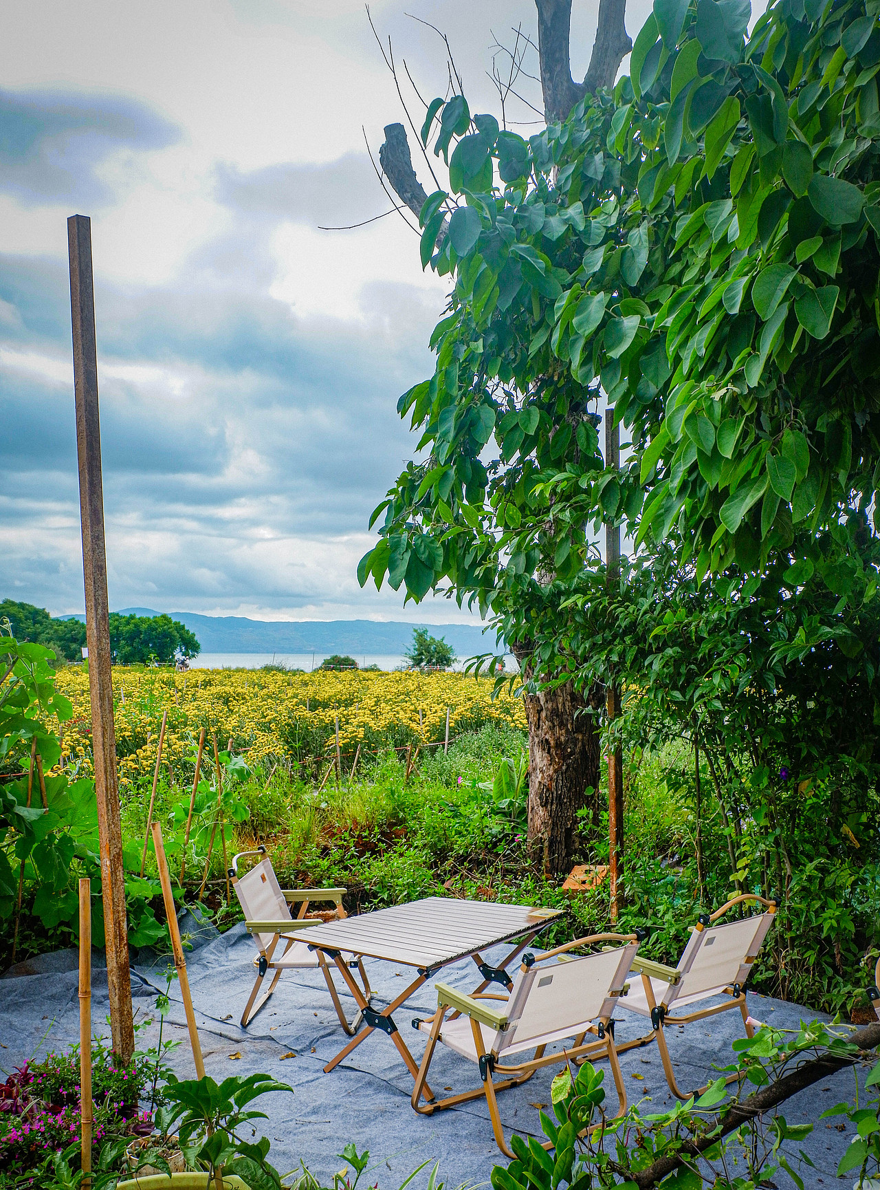 2025年10月外出-澄江红沙滩、马房村、通海