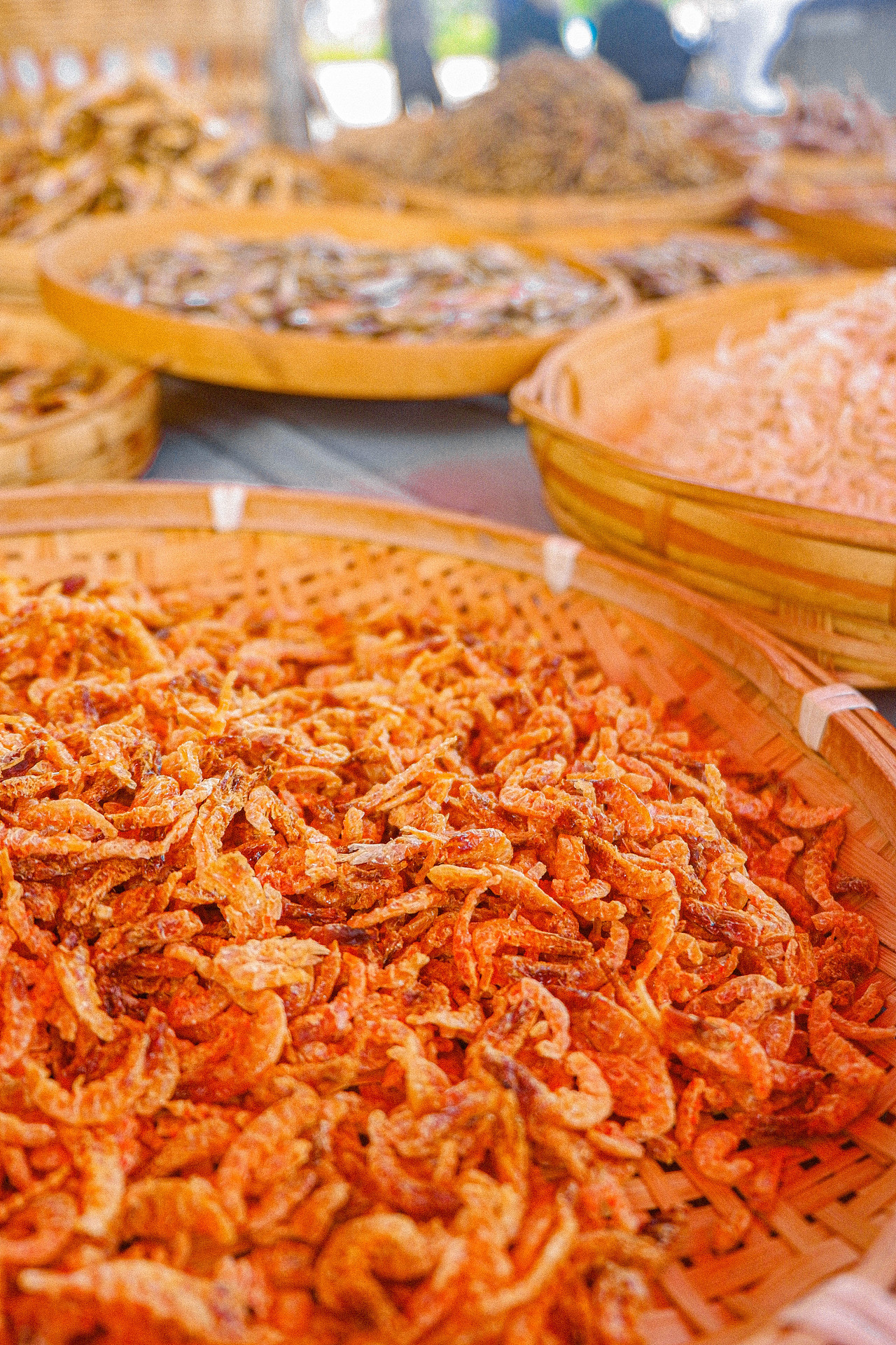 2025年10月外出-澄江红沙滩、马房村、通海