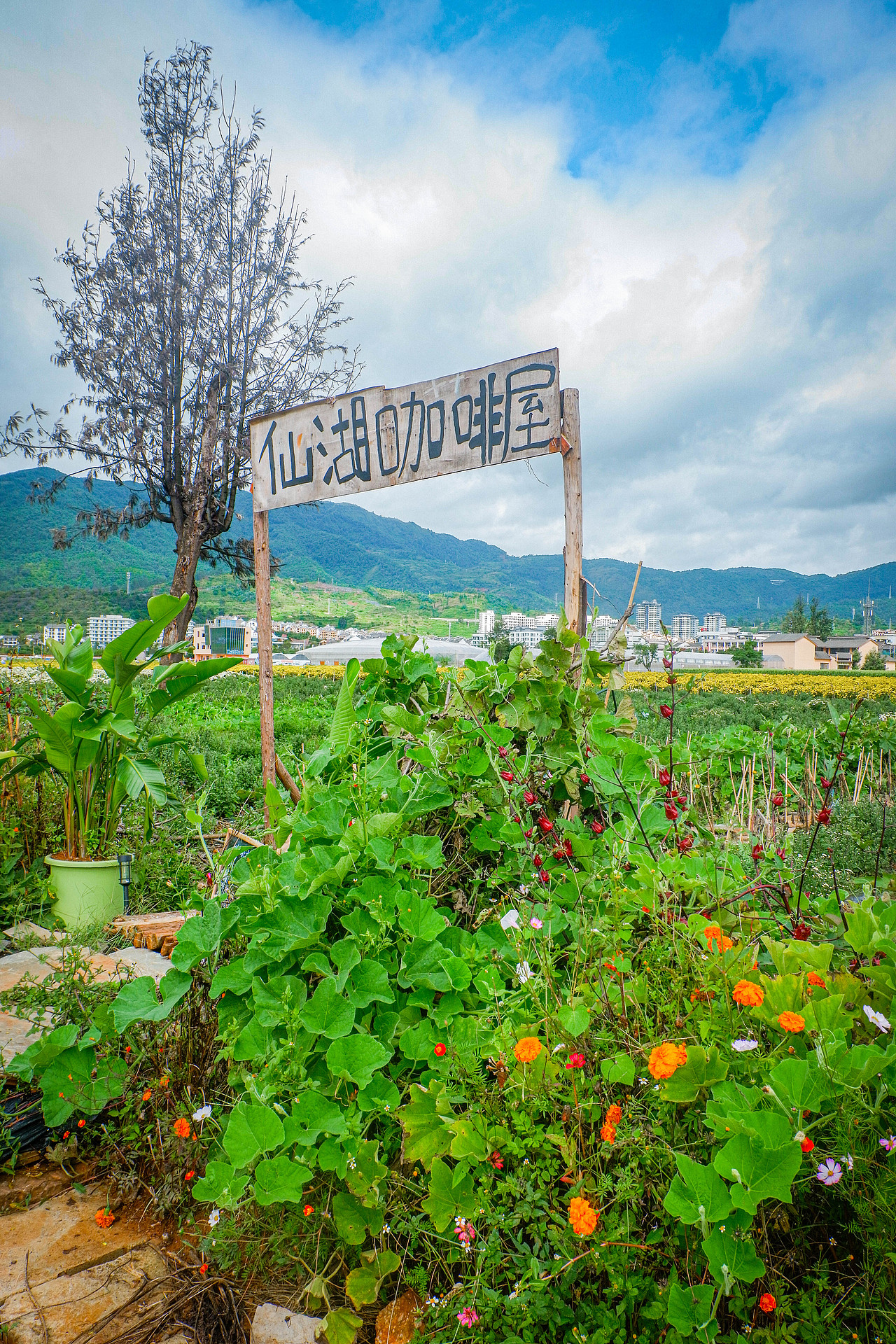 2025年10月外出-澄江红沙滩、马房村、通海