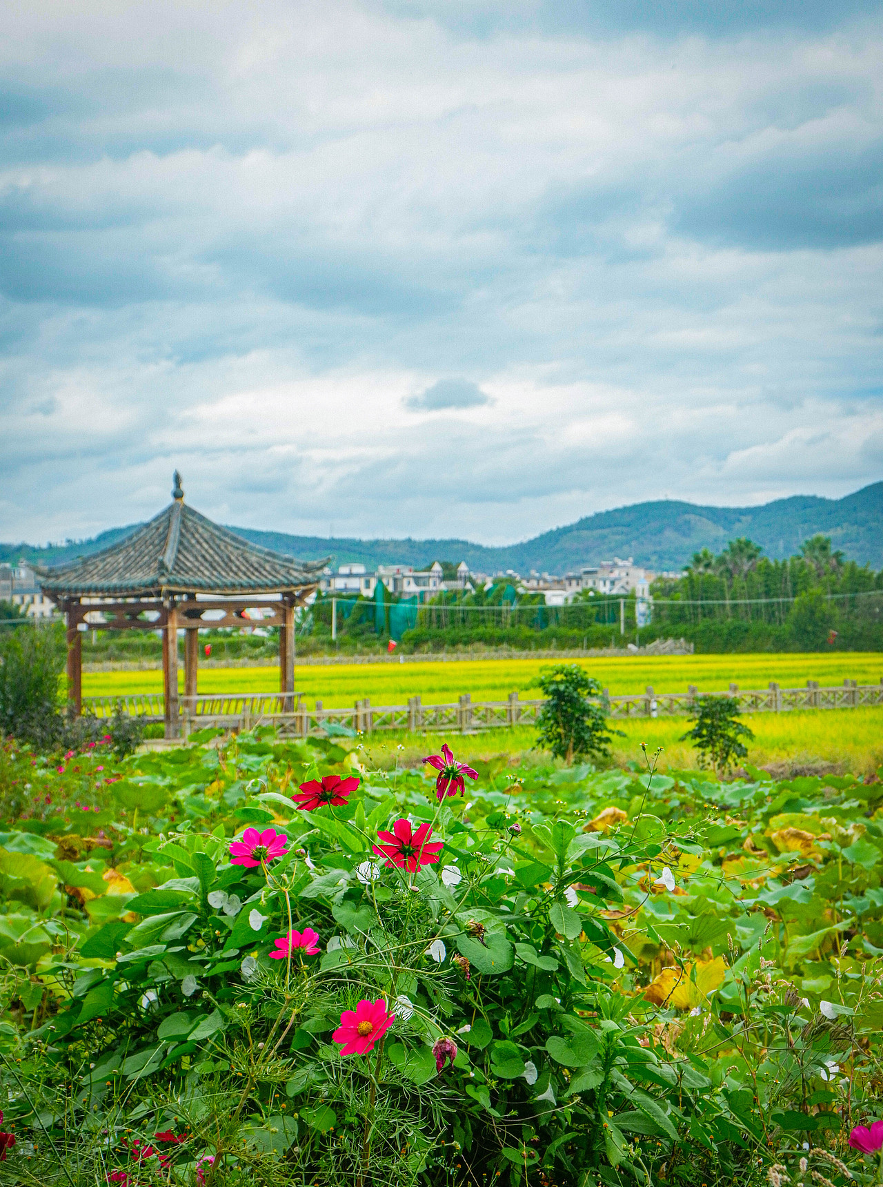 2025年10月外出-澄江红沙滩、马房村、通海