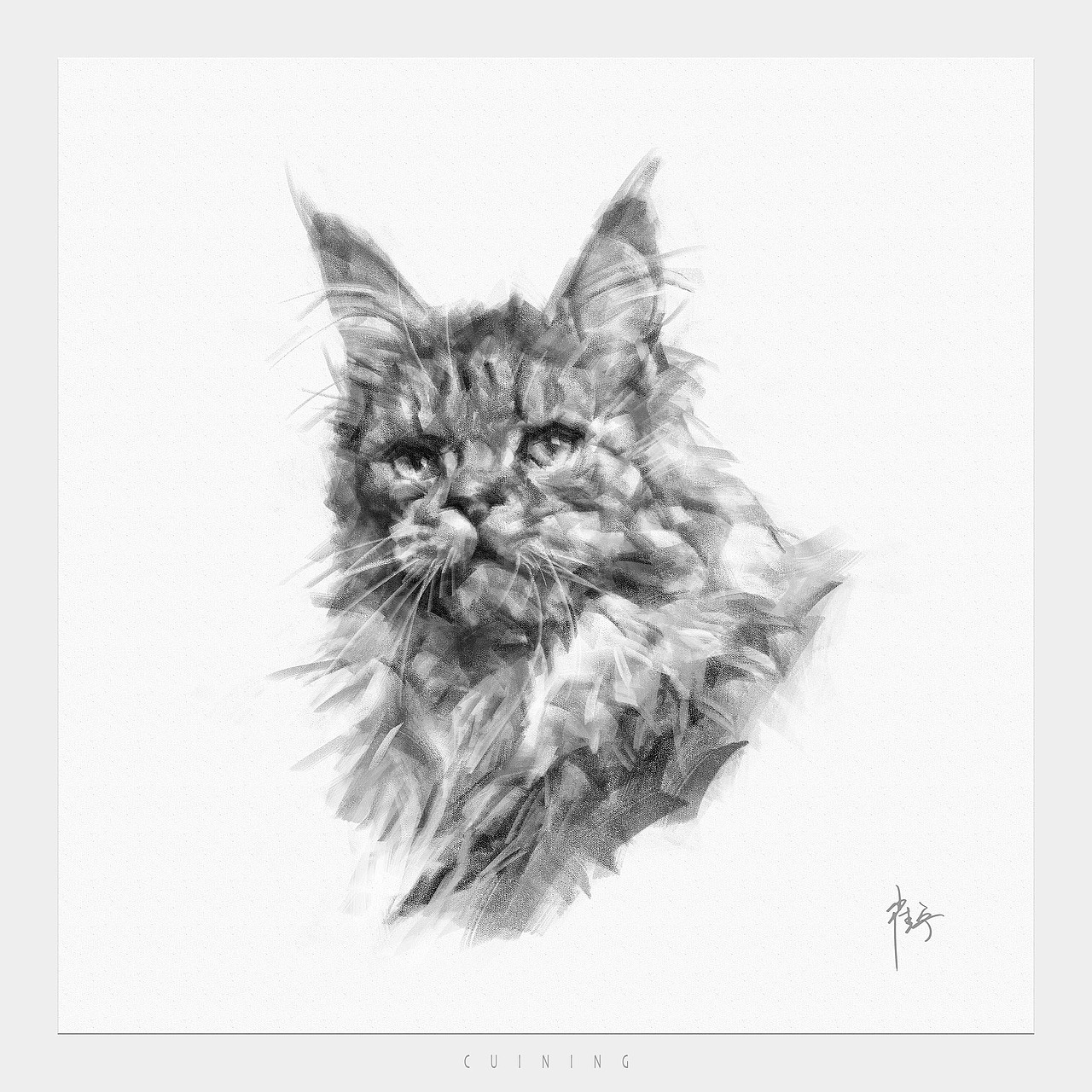 猫素描（图ZMzk3MzM0ODAw） - 绘画 - 站酷设计师cuin62原创素材 - 站酷ZCOOL