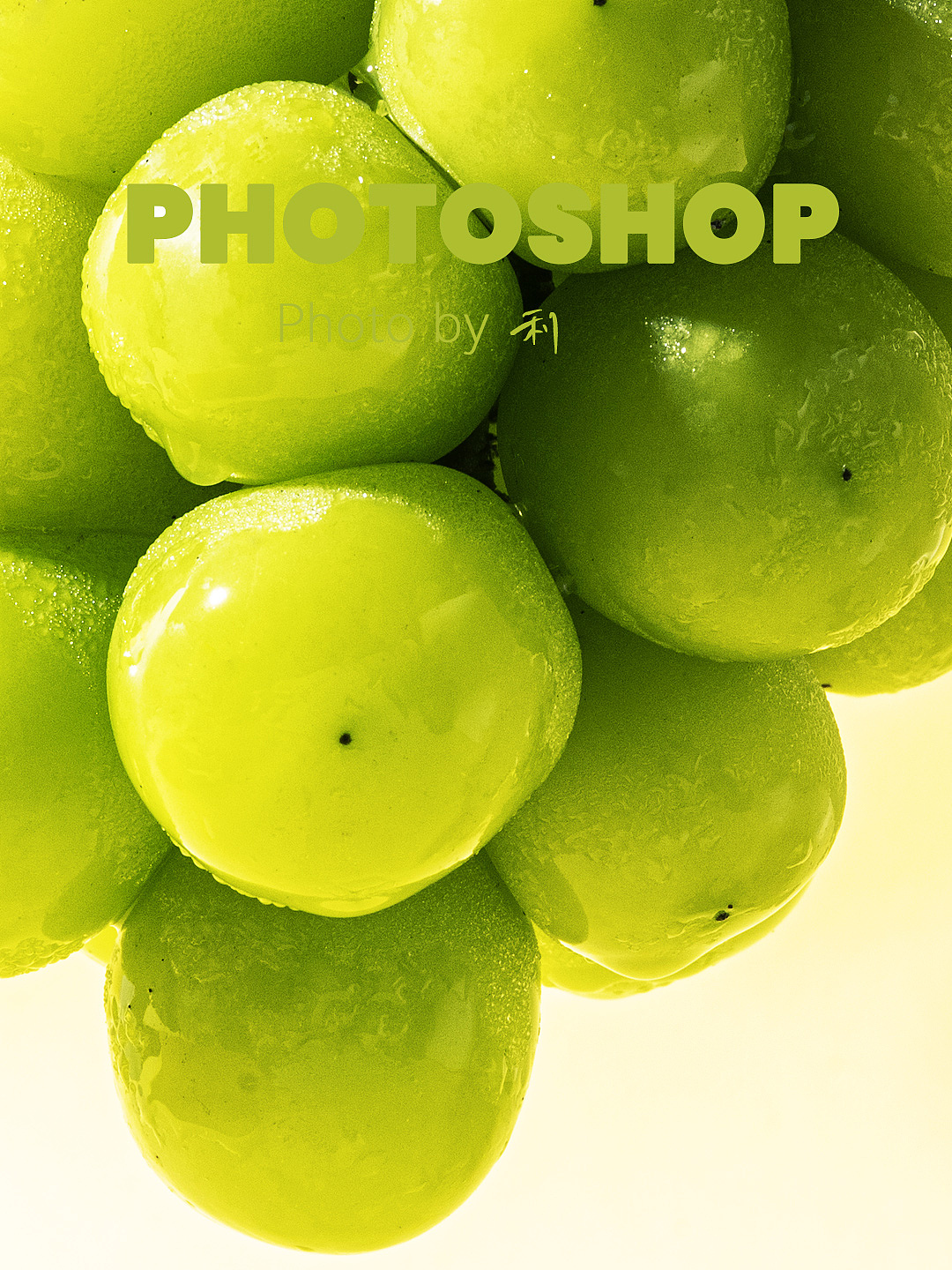 新手速学❗️单灯+反光板拍葡萄超简单👋