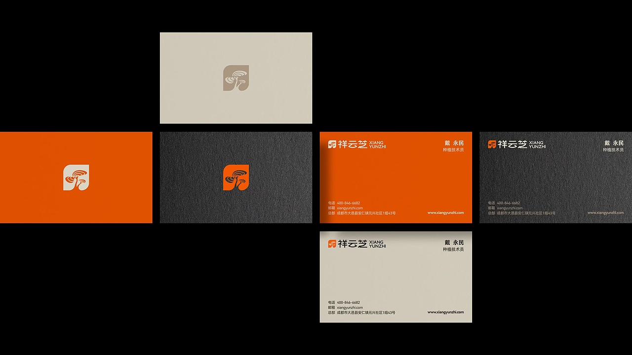 祥云芝品牌升级:以文化符号重塑农产品牌心智