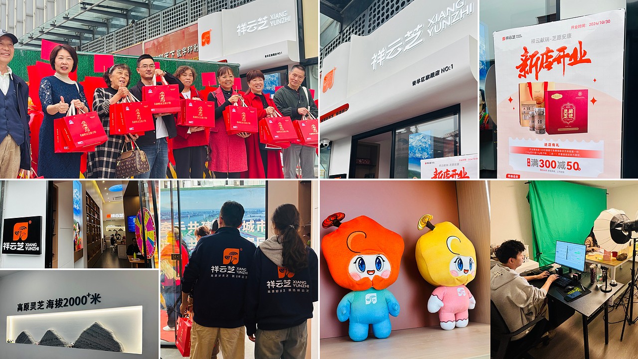 祥云芝品牌升级:以文化符号重塑农产品牌心智