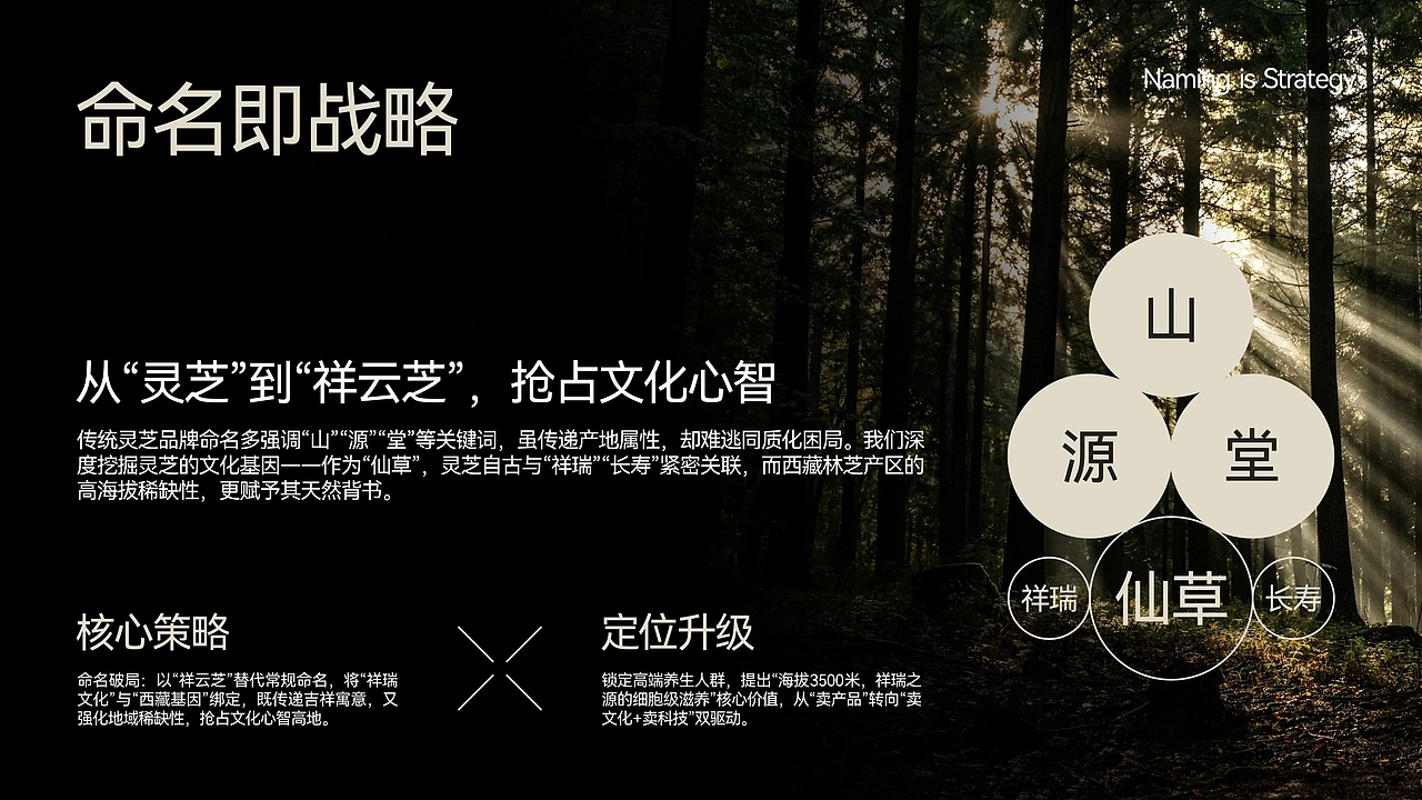 祥云芝品牌升级:以文化符号重塑农产品牌心智