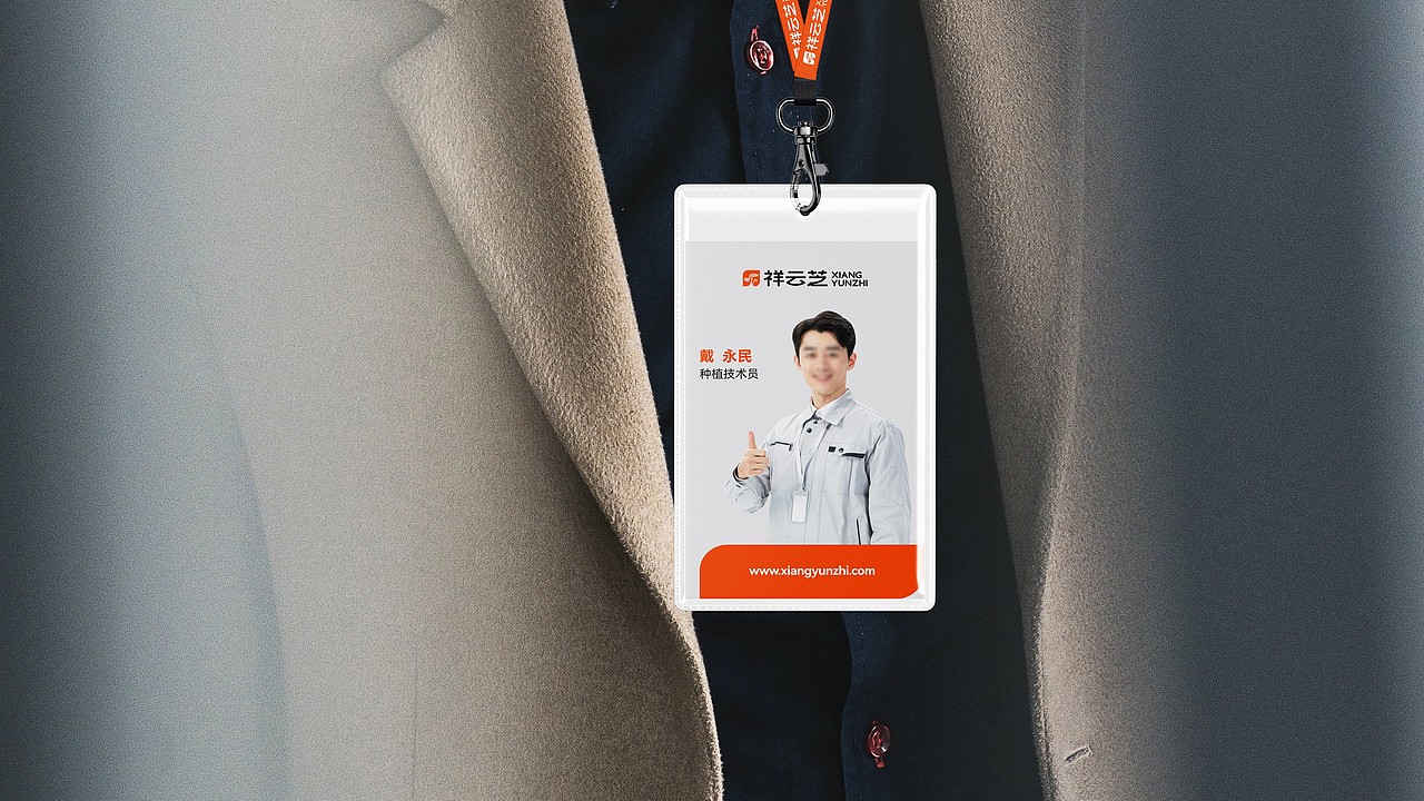 祥云芝品牌升级:以文化符号重塑农产品牌心智