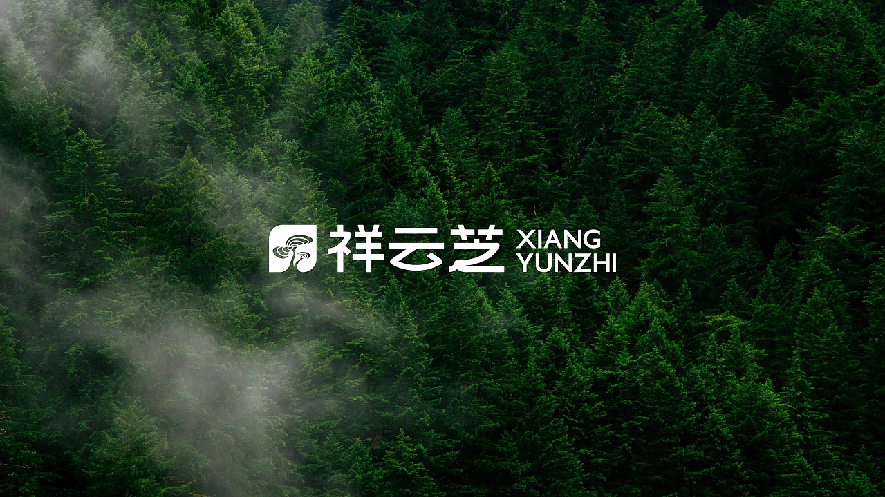 祥云芝品牌升级:以文化符号重塑农产品牌心智