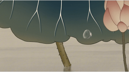 《LAURA girl 浮光锦色》二维动画、定格（图ZMzk3NDA3MjEy） - 宣传片 - 站酷设计师河马先生摄影原创素材 - 站酷ZCOOL