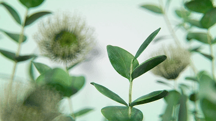 hai-植物花洒产品动态临摹案例（图ZMzk3Mzg4MzA0） - 产品 - 站酷设计师我是baka原创素材 - 站酷ZCOOL