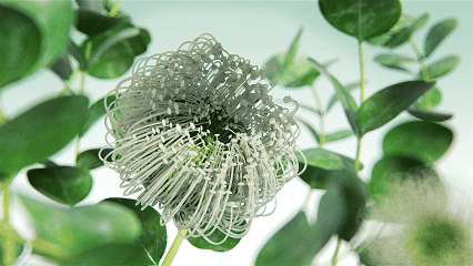 hai-植物花洒产品动态临摹案例（图ZMzk3Mzg4MzM2） - 产品 - 站酷设计师我是baka原创素材 - 站酷ZCOOL