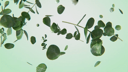 hai-植物花洒产品动态临摹案例（图ZMzk3Mzg4MzA4） - 产品 - 站酷设计师我是baka原创素材 - 站酷ZCOOL