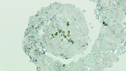 hai-植物花洒产品动态临摹案例（图ZMzk3Mzg4MzIw） - 产品 - 站酷设计师我是baka原创素材 - 站酷ZCOOL