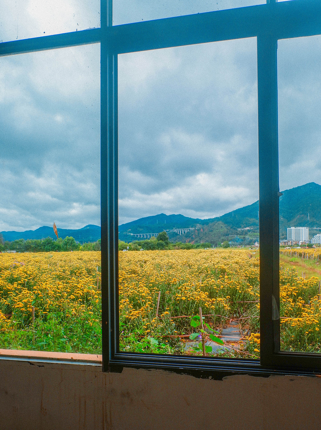 2025年10月外出-澄江红沙滩、马房村、通海