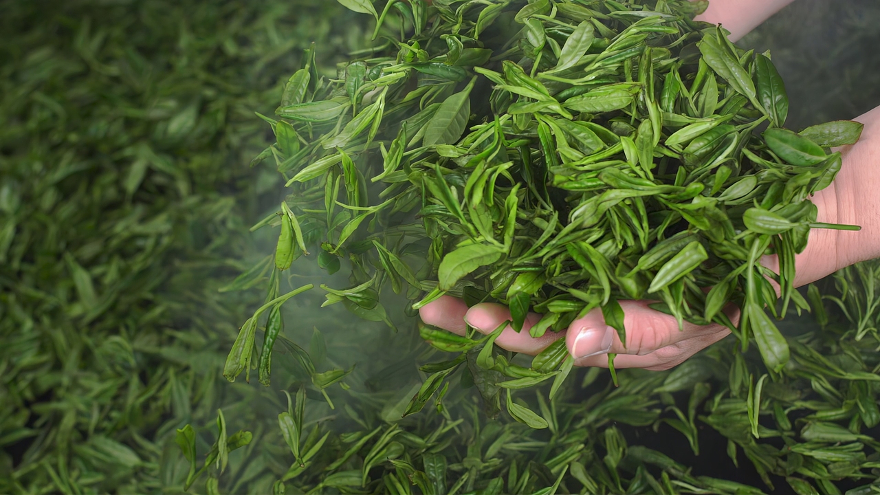 乍甸乳业——牛的奶茶，有料的奶茶（图ZMzk3NDA4NzA4） - 产品摄影 - 站酷设计师尤咖特拍原创素材 - 站酷ZCOOL