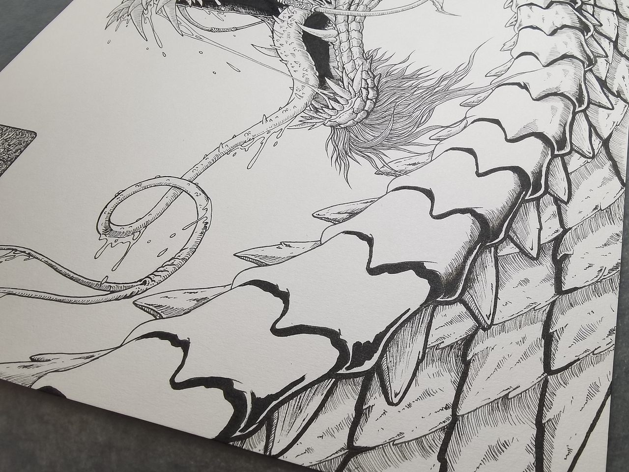 2025.10.10毣柞山海-北山经-洹山-怪蛇