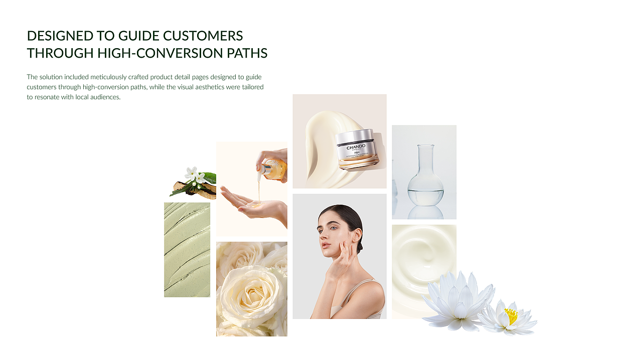 自然堂出海外案例展示|独立站、亚马逊、VI BOOK