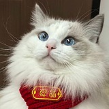 纷焱的头像
