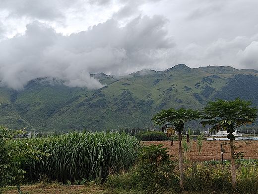 雨后的风景