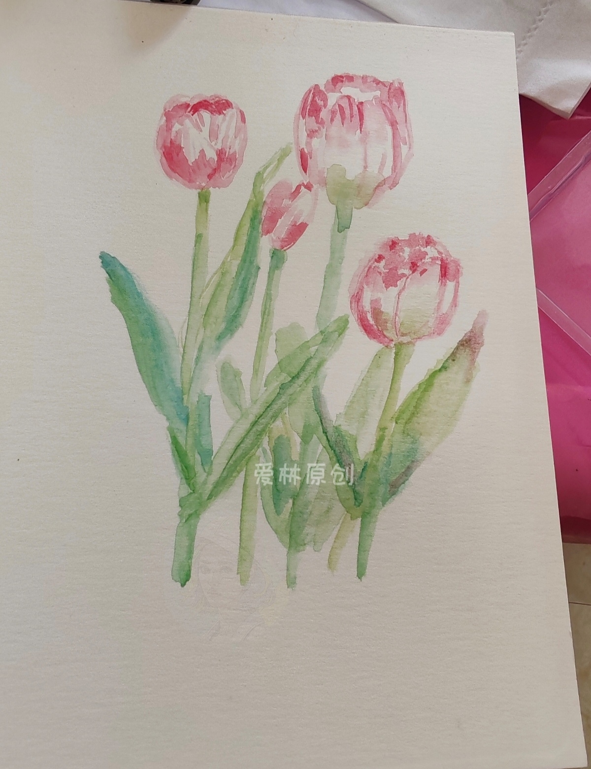 水彩花卉，郁金香，向日葵（图ZMzk3NDM2MDI0） - 创作习作 - 站酷设计师插画师爱林原创素材 - 站酷ZCOOL