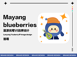 藍(lán)漾優(yōu)莓VI品牌設(shè)計(jì)