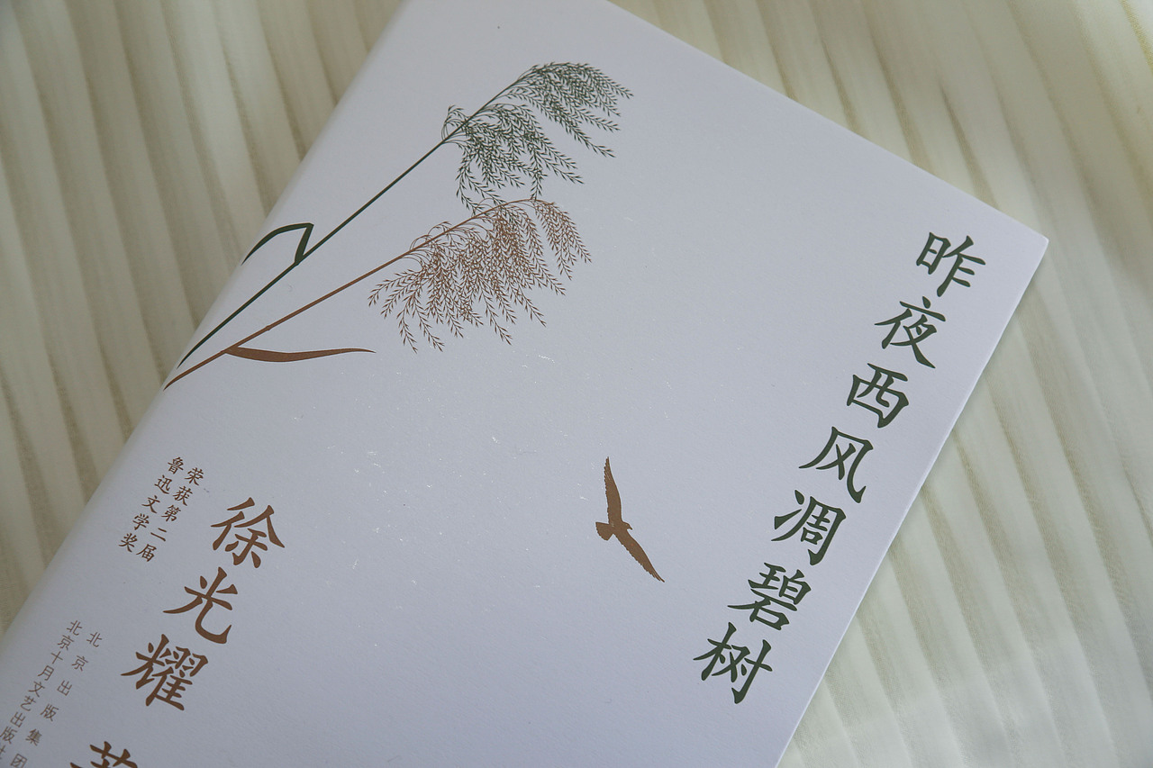 书籍设计|百年人生系列