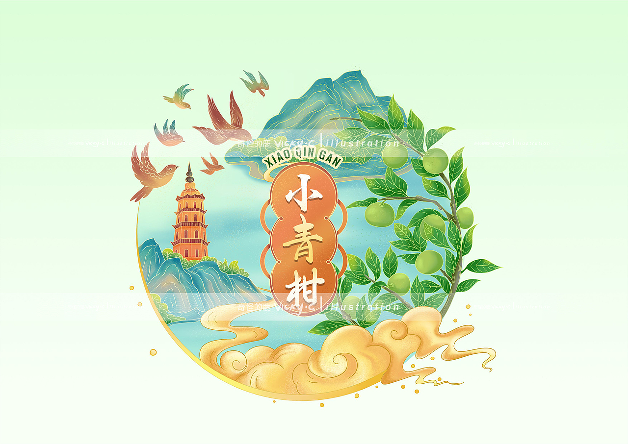 小青柑包装插画