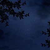 冷山风的头像