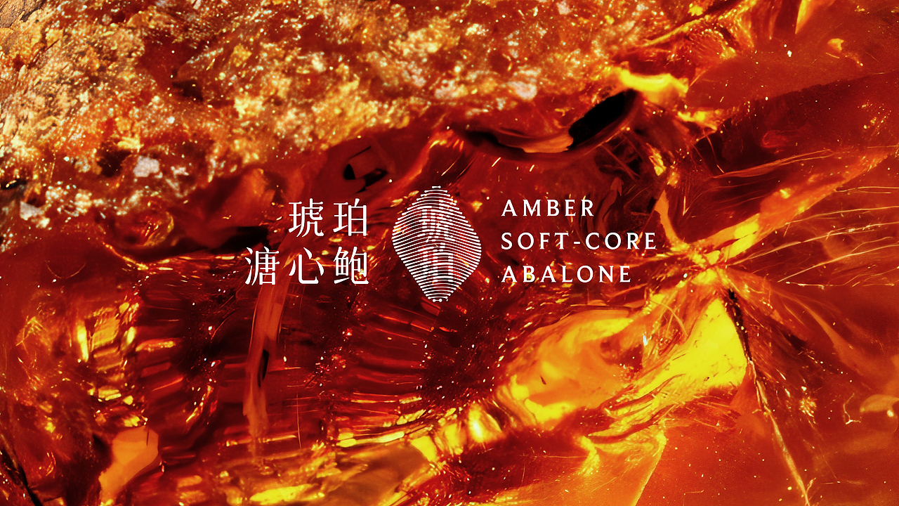 鲜伴·千年海珍 一口凝时 | 海鲜制品品牌 蜗牛新作(图ZMzk3NDQ3NzYw) - 品牌 - 站酷设计师蜗牛快消创意原创素材 - 站酷ZCOOL