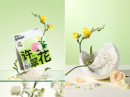 宠物摄影