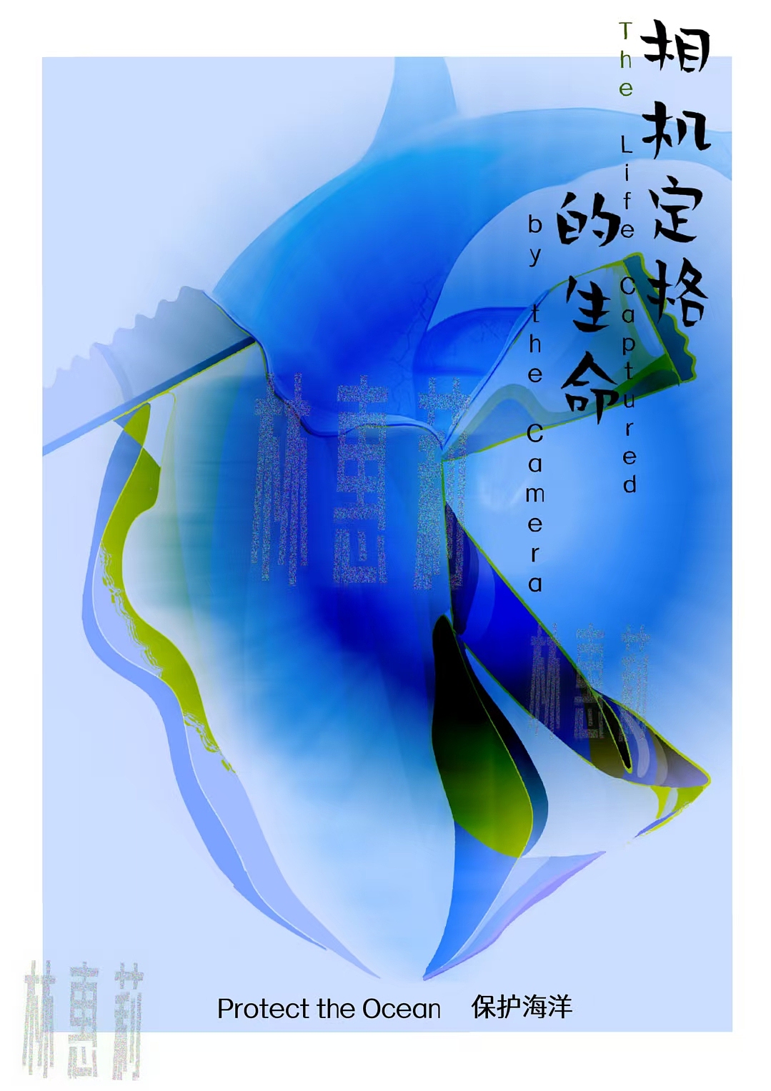 相机定格的生命