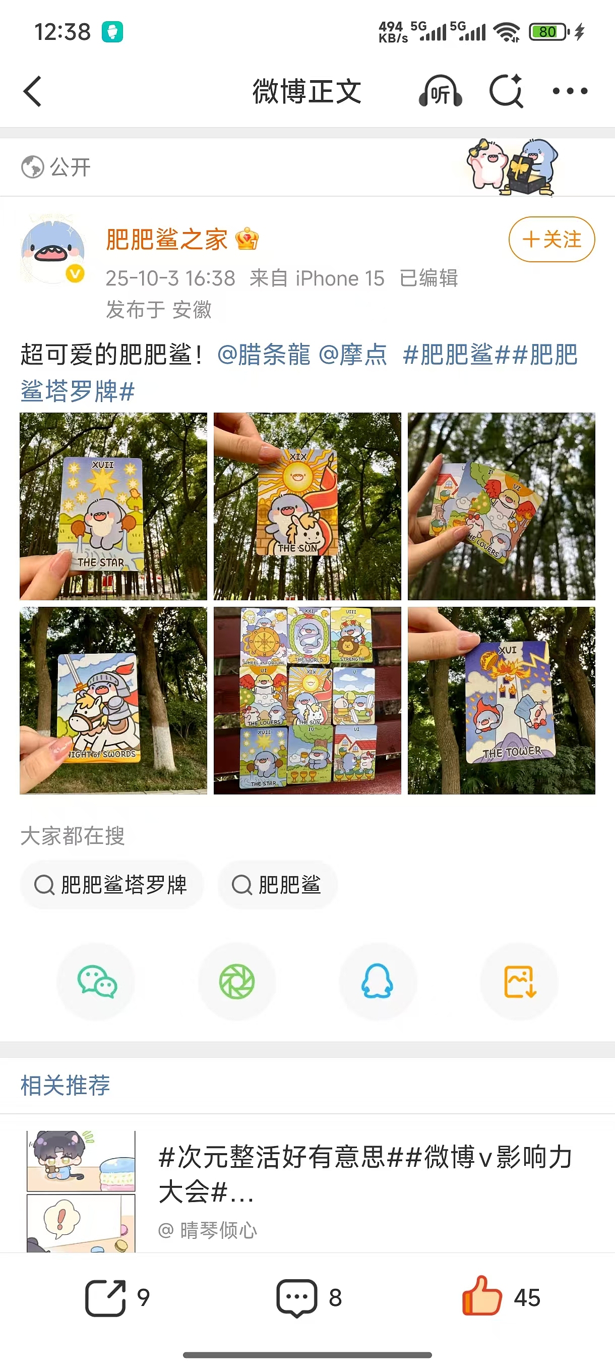 腊条龍肥肥鲨塔罗（图ZMzk3NTAzNTA4） - 商业插画 - 站酷设计师腊条龍原创素材 - 站酷ZCOOL