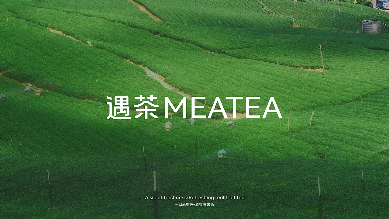 MEATEA遇茶©品牌设计 | 茶饮料包装 | 遇好茶·果纯粹(图ZMzk3NTIxOTg4) - 品牌 - 站酷设计师不眠虎工作室原创素材 - 站酷ZCOOL