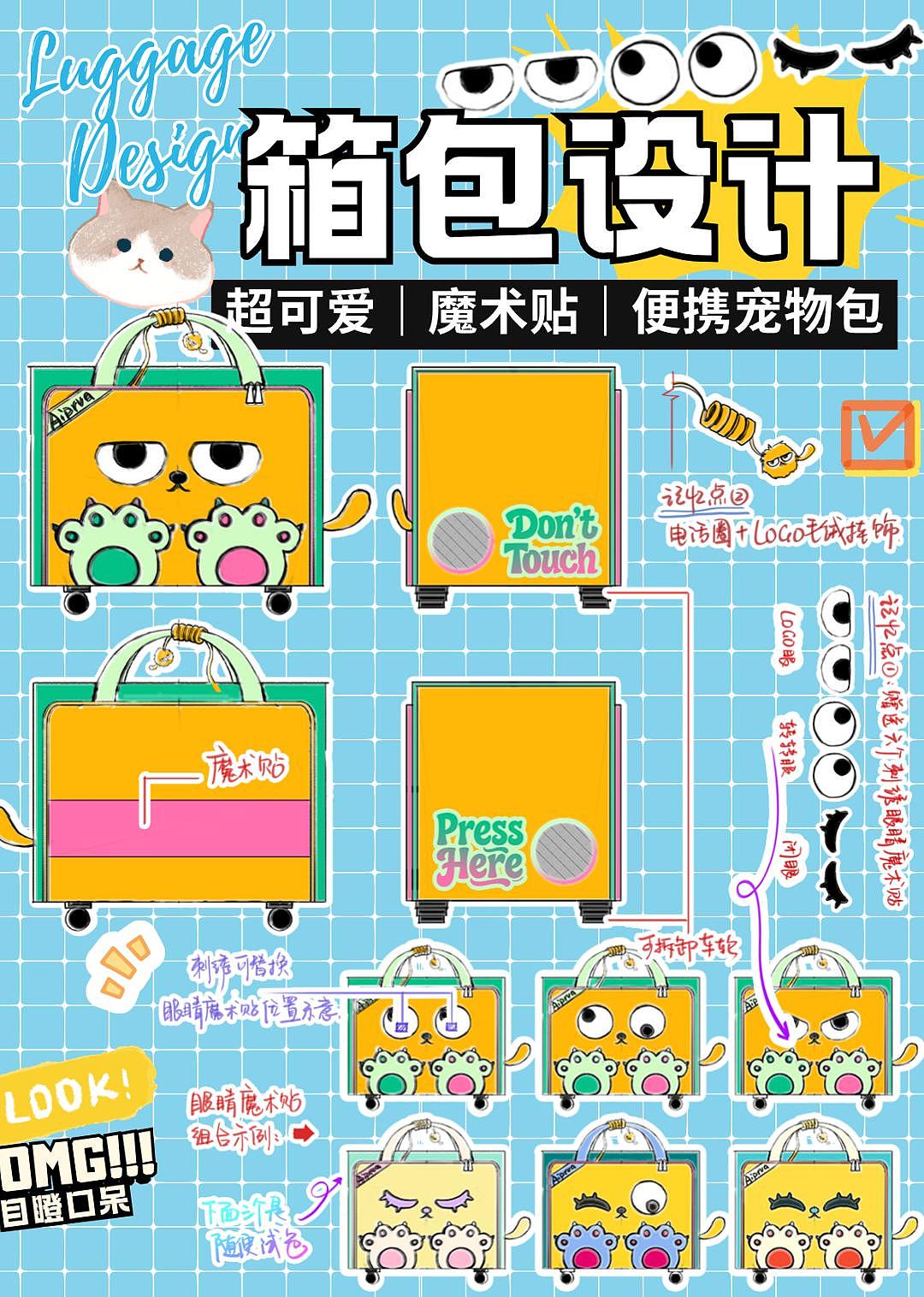 宠物登机包设计