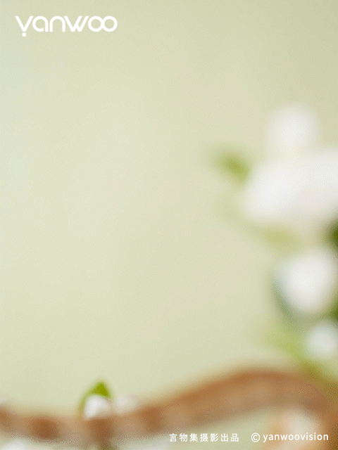 言物集 X 福丸 | 宠物用品猫砂电商主图短视频拍摄杭州（图ZMzk3NTM4NjIw） - 产品摄影 - 站酷设计师YANWOO言物集摄影原创素材 - 站酷ZCOOL