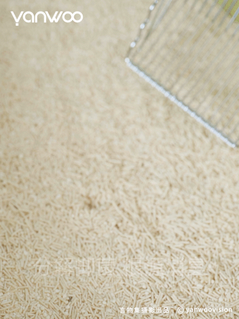 言物集 X 福丸 | 宠物用品猫砂电商主图短视频拍摄杭州（图ZMzk3NTM4NjI4） - 产品摄影 - 站酷设计师YANWOO言物集摄影原创素材 - 站酷ZCOOL