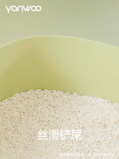 言物集 X 福丸 | 宠物用品猫砂电商主图短视频拍摄杭州（图ZMzk3NTM4NjM2） - 产品摄影 - 站酷设计师YANWOO言物集摄影原创素材 - 站酷ZCOOL