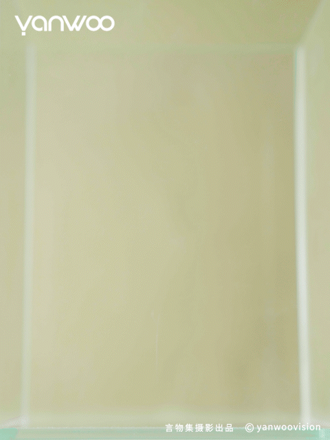 言物集 X 福丸 | 宠物用品猫砂电商主图短视频拍摄杭州（图ZMzk3NTM4NjQw） - 产品摄影 - 站酷设计师YANWOO言物集摄影原创素材 - 站酷ZCOOL