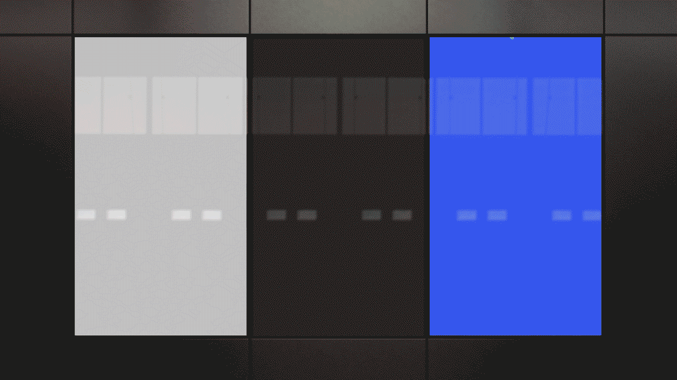 Evolve ∞ Forward - 8周年庆主视觉设计