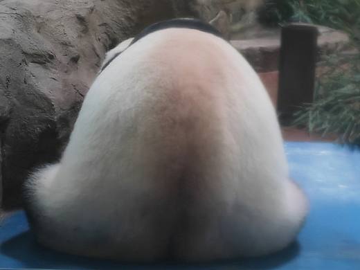 日常