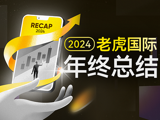 老虎国际-24年年度报告项目总结