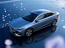 在花瓣与星光之间，你最想把副驾留给谁？