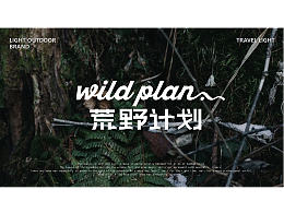 版式
