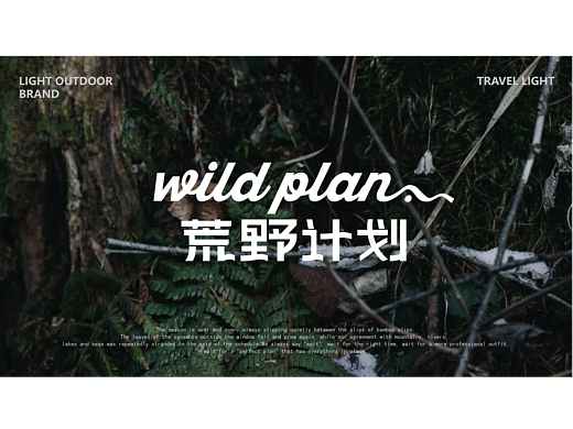 wild plan 品牌视觉提升设计