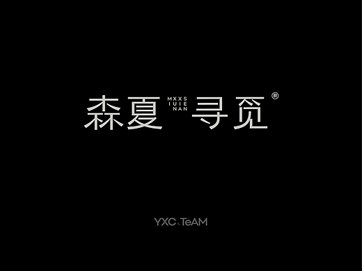 字体设计 | 2025 Vol.08（个人主页-ZNzI2NDIyMTY=） - 字体/字形 - 站酷设计师颜汐_YXCTEAM原创素材 - 站酷ZCOOL
