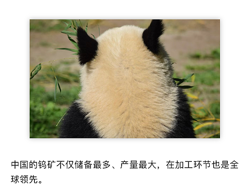 厦门钨业应该改名叫“厦门稀土”，更能乘风而飞了，哈哈哈！