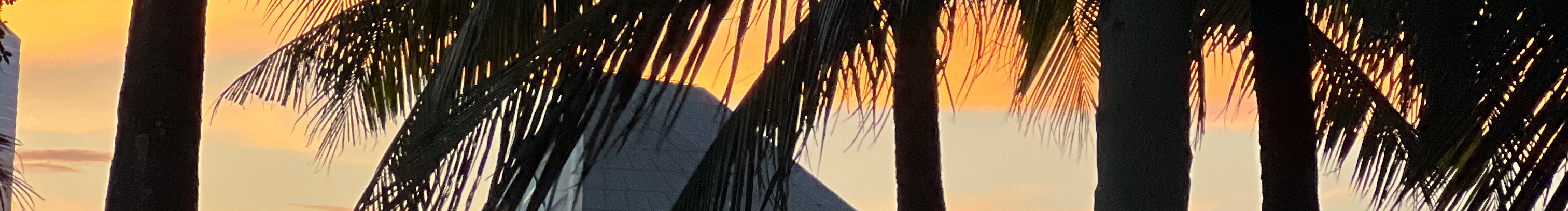 Sunny小酷的个人主页（封面预览） - 主页封面设置 - 站酷设计师Sunny小酷原创素材 - 站酷ZCOOL